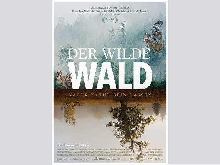 Plakat Der wilde Wald